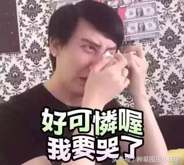 毛孔大和遗传有关系吗,脸出油有没有遗传关系