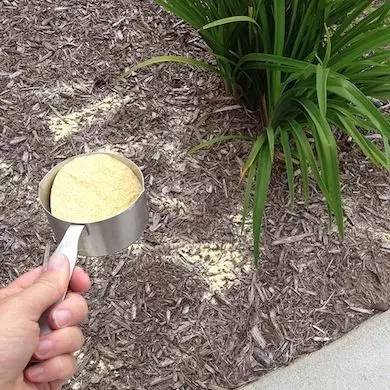 花园土壤怎么改造,花园改造松土技巧