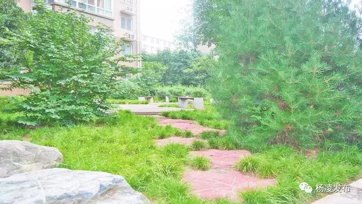杨凌绿化最好的小区,杨凌绿地二期附近公园推荐