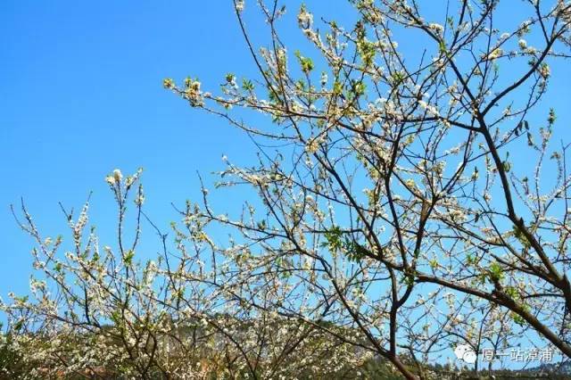 漳浦必去景点,漳浦最出名的地方
