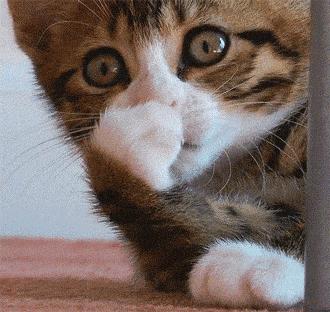 2万的编织袋？4千的塑料鞋？难道真是贫穷限制了我的审美？