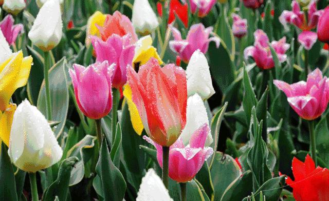 城事指南,浦东区旅游攻略