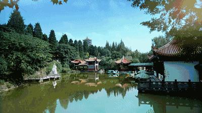 那些留在县城的年轻人后来怎样,那些返乡的年轻人后来都怎么样了