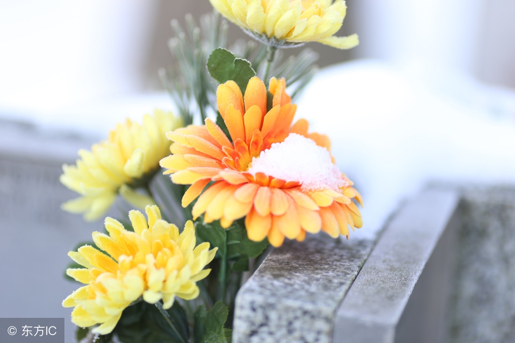 墓地风水吉凶断法,墓地风水吉凶判断方法大全