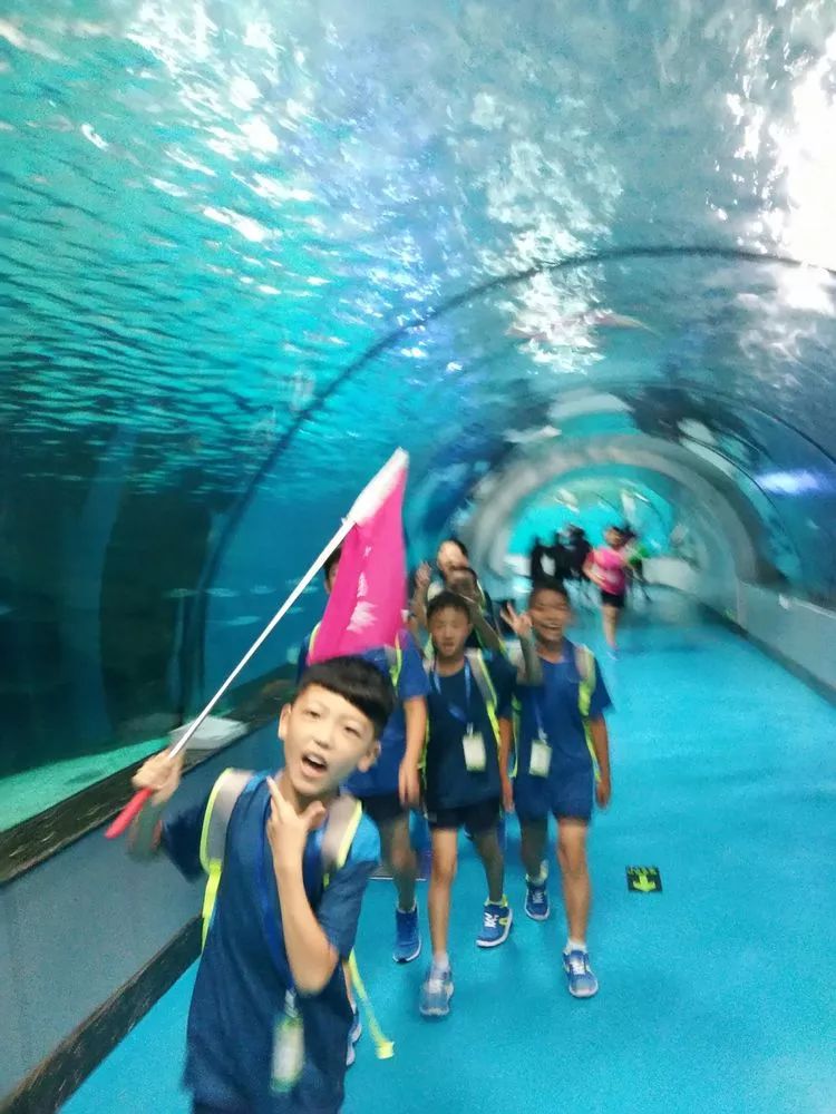 关爱困境儿童微心愿活动,关爱留守儿童圆梦微心愿活动