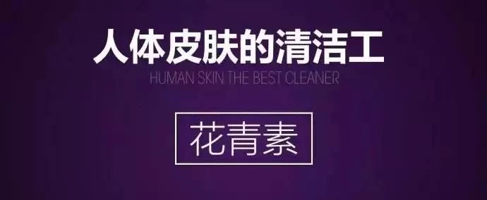 洋葱对健康有什么好视频,十大健康蔬菜洋葱