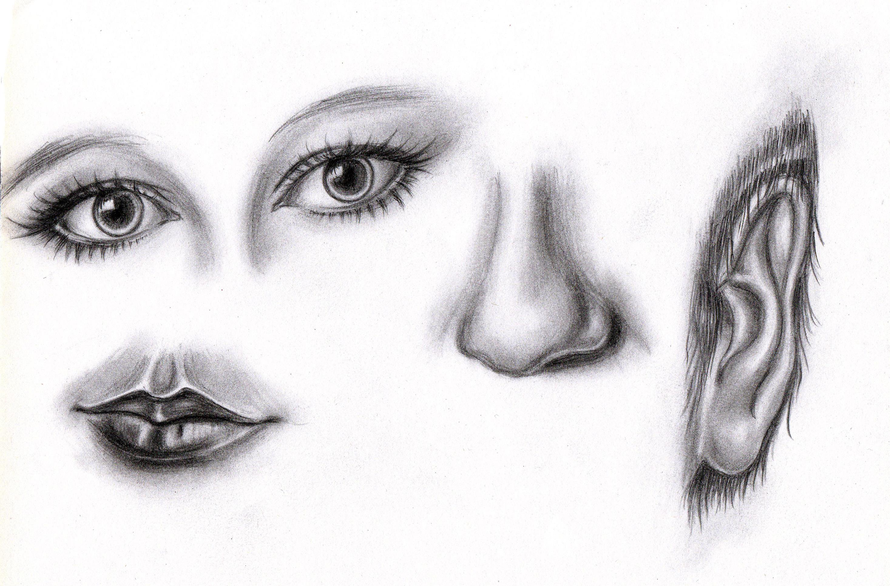 大脑是怎么欺骗你的,大脑欺骗我们的常用方式