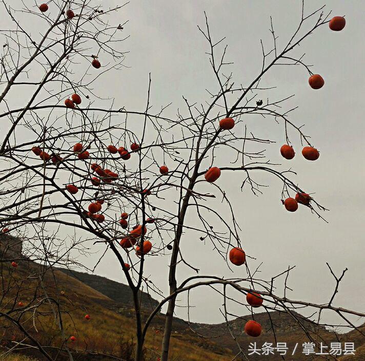 窟窿山,凤凰山星月