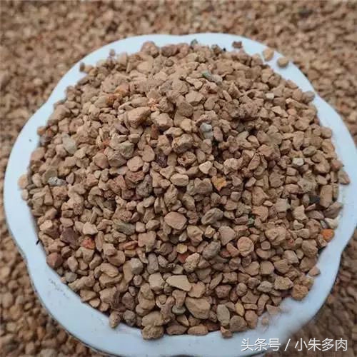 多肉颗粒土直播,多肉颗粒土批发