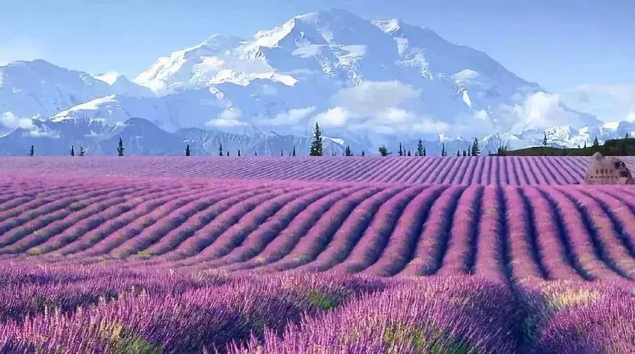 疆北自驾游线路图,全疆大环线自驾游最佳路线