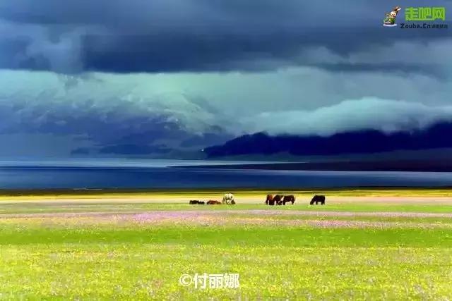 疆北自驾游线路图,全疆大环线自驾游最佳路线