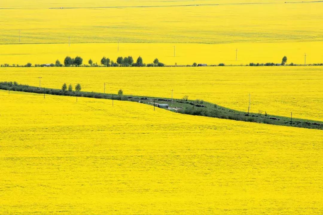 夏天应该怎么去旅游凉快,为什么夏天是最好的旅行时间