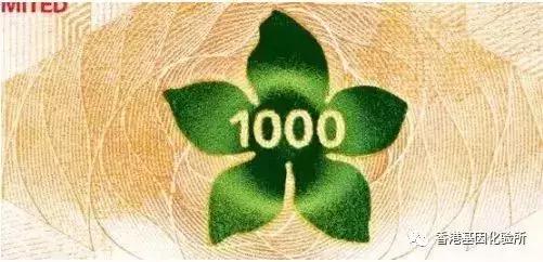 旧版港币怎么分真假,港币换新钞真假