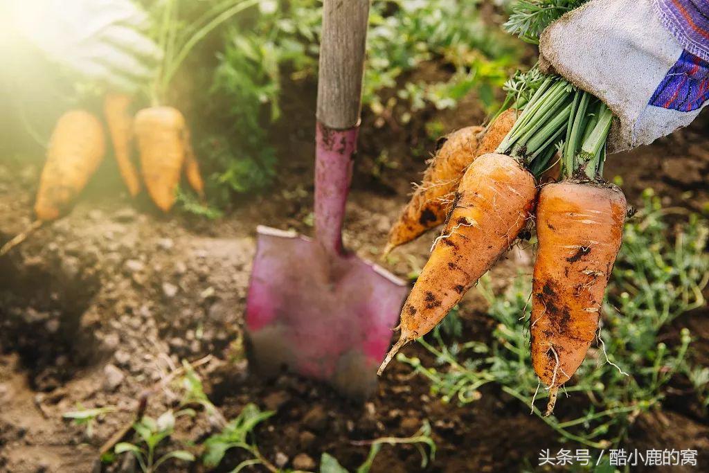论种族天赋，在下是彻底输给了这波神操作了！