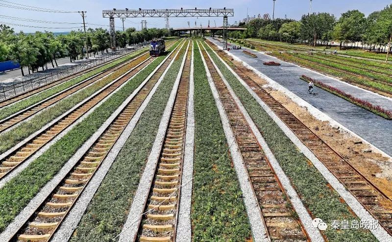 秦皇岛西港花园介绍,秦皇岛西港花园的花