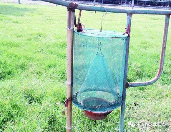 养殖苍蝇神器,养殖场苍蝇诱捕神器