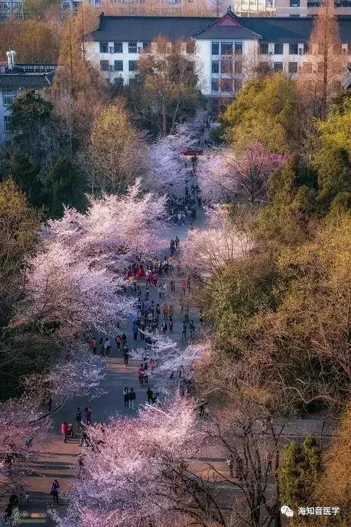 醉美中国——江苏