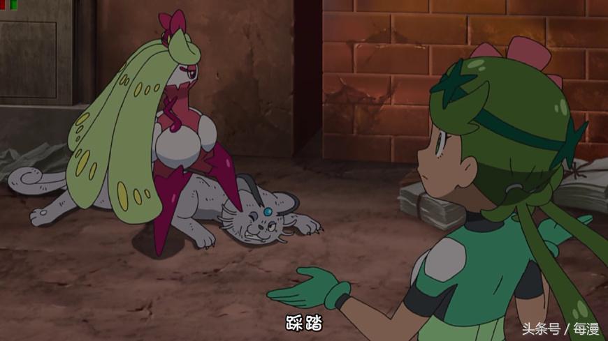 小智的木木枭最终进化了吗,小智的木木枭后来进化了吗