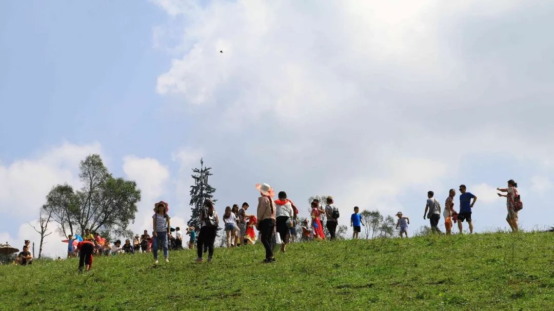 人从众的模式,人从众