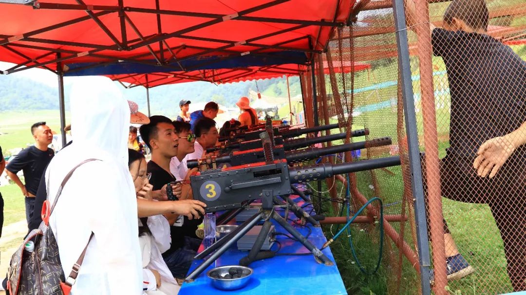 人从众的模式,人从众