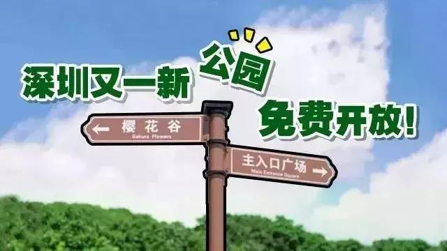 深圳最新开放公园景点图片欣赏,深圳最新的一个超级公园
