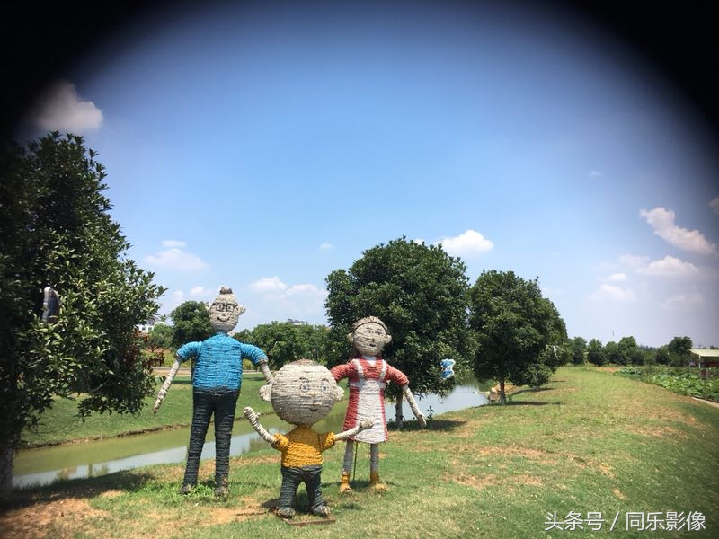 「摄影」义乌的夏日乐园