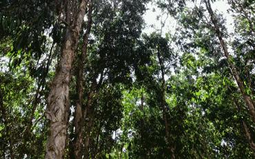 深圳足球公园免费开放,深圳新的草地公园