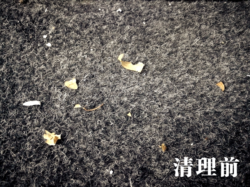 eureka洗地毯机器,卡赫蒸汽清洁机sc5评测