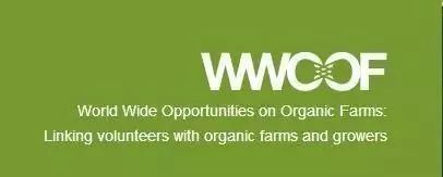 只要没出机场，看到这个牌子，千万别摸手机！还有这些禁忌你必须知道