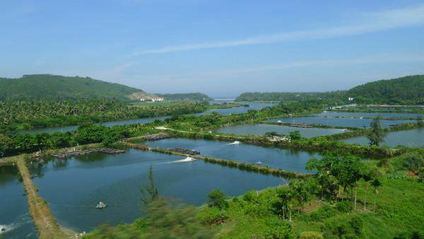 三宝妈妈三亚旅游,三宝妈妈三亚
