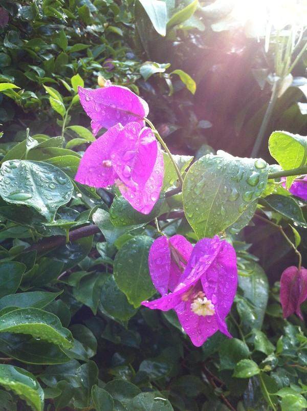 三亚三日游带孩子攻略,三姐妹游三亚