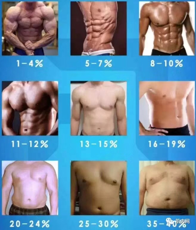 腹肌训练方法马甲线八块腹肌,超棒的腹肌马甲线训练