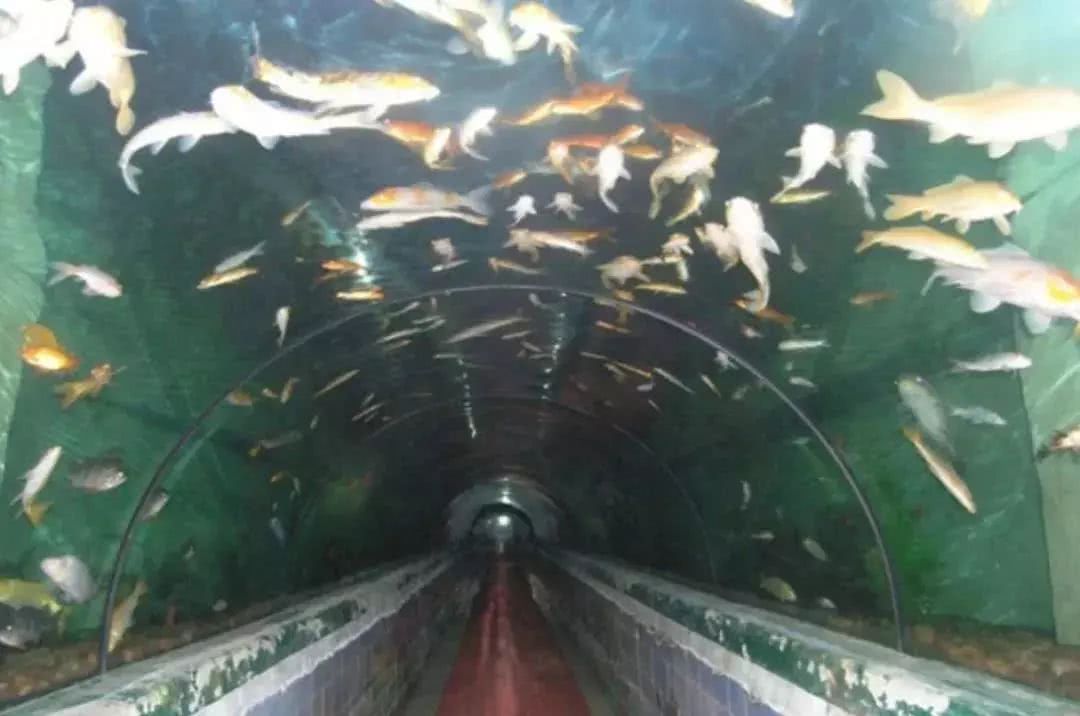 燕郊最牛逼的建筑,燕郊特色建筑