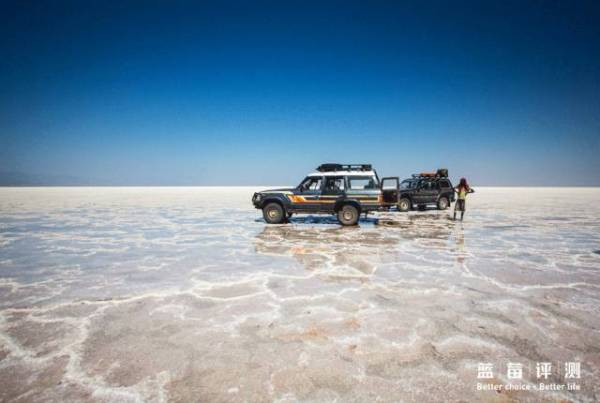 蓝莓评测美国蓝莓,蓝莓评测