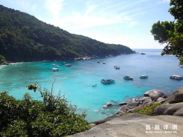 蓝莓评测美国蓝莓,蓝莓评测