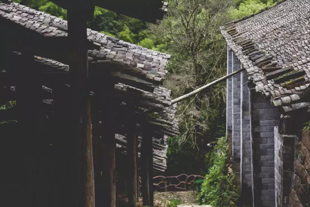 苍南深山,苍南隐秘的地方