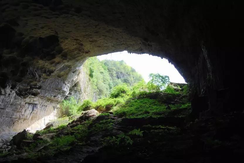 哪座山被选入2020中国避暑名山,避暑胜地天然大空调