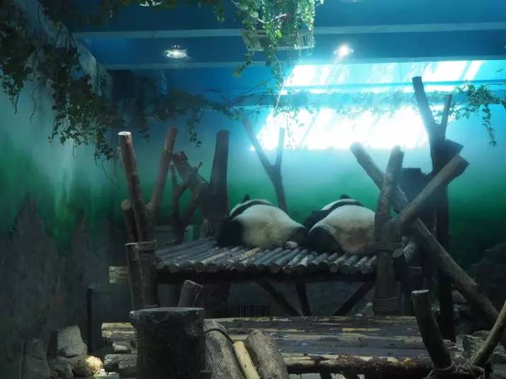 中国青年大使与加拿大青年领袖西安、成都行结束