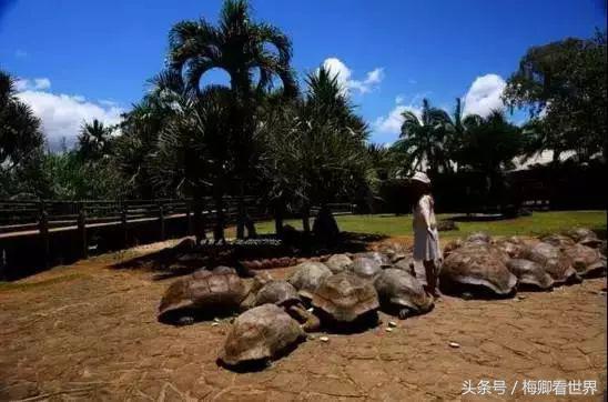 毛里求斯东西南北部哪个最好玩,毛里求斯攻略