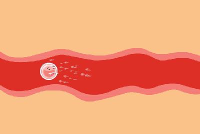 一直以为自己是跑得最快的那颗精子，原来并不是……