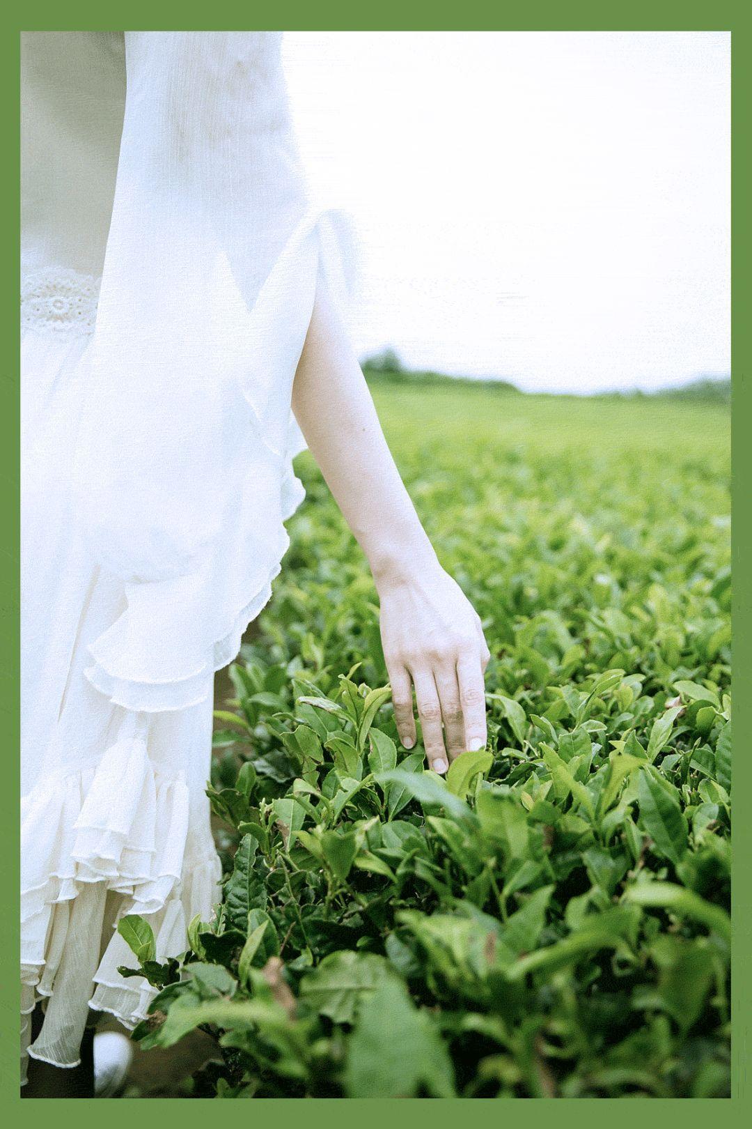 济州岛游玩攻略穷游,济州岛旅行避坑攻略最新