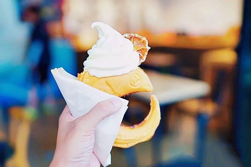 济州岛出游攻略视频大全,济州岛旅行避坑攻略最新