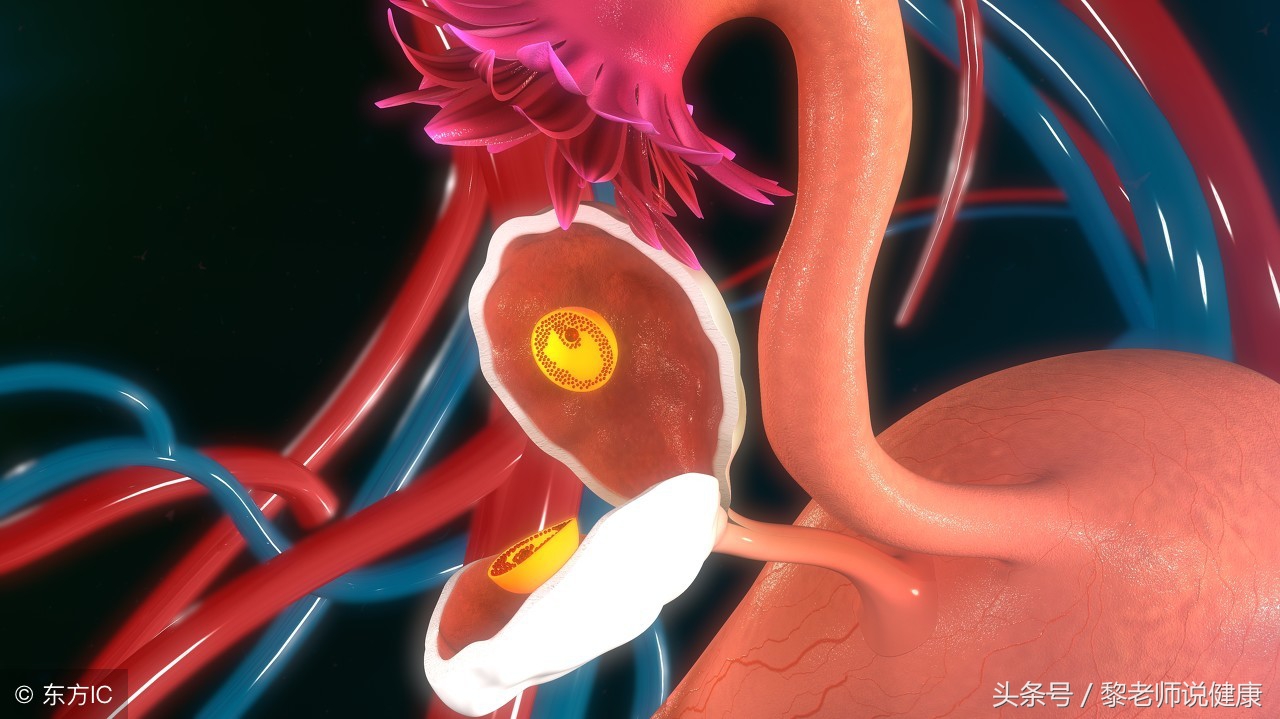 吃什么防止子宫卵巢退化,卵巢子宫出现问题是怎么引起的