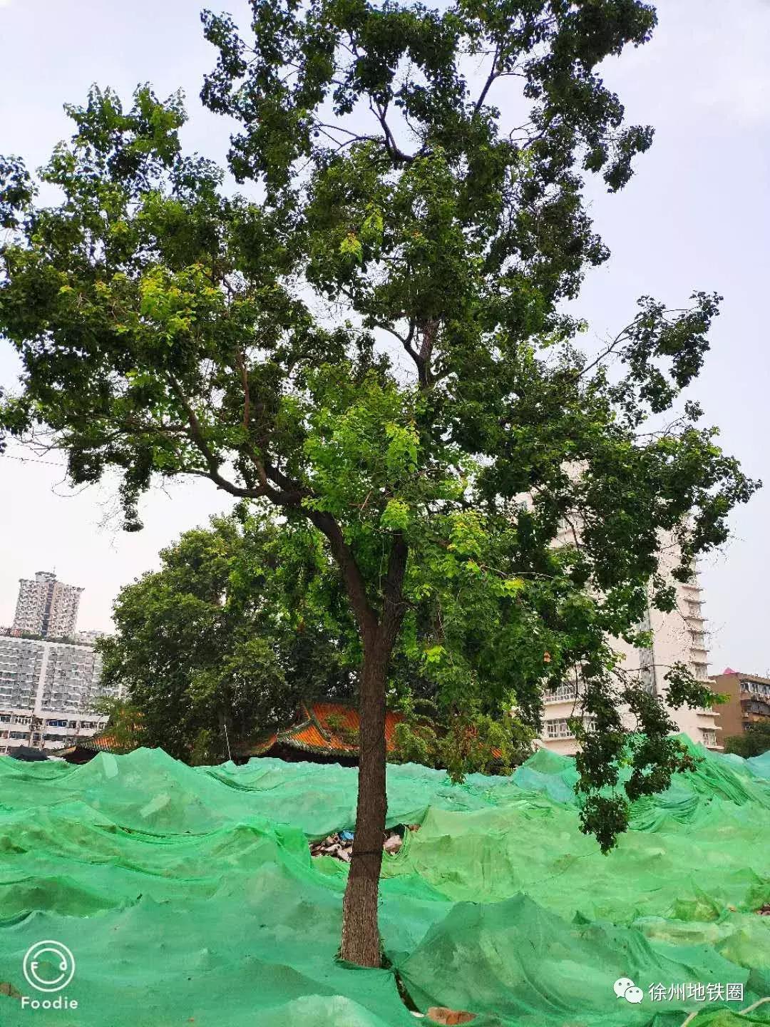 徐州二中变“停车场”！哪些回忆留下？未来这将成徐州“夫子庙”