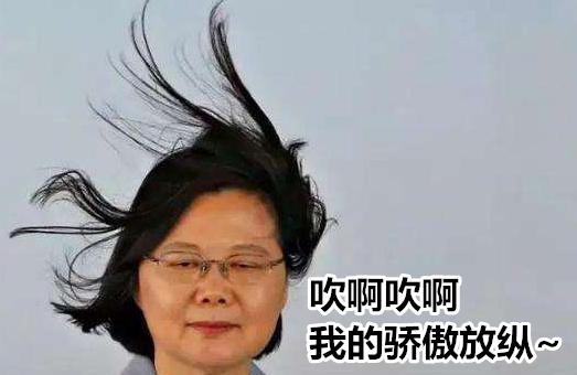 *进党民**又出一个姓蔡的败类！为“反制”大陆竟恶整陆配