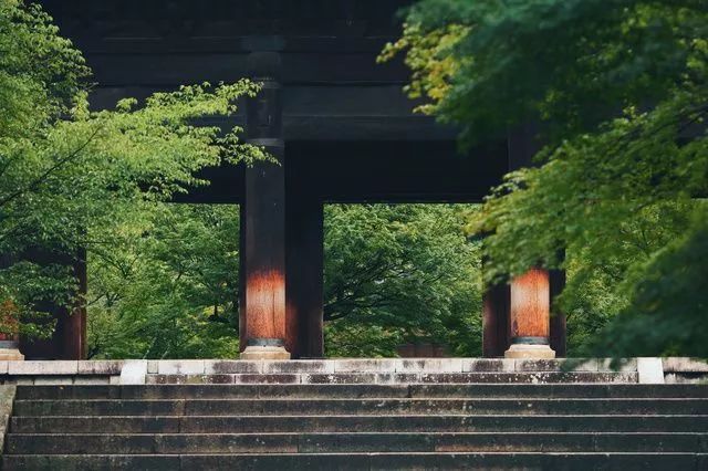 立秋暑去凉来一叶知秋,立秋暑气渐敛一叶知秋