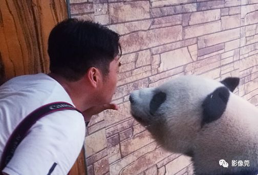 实力圈粉！熊猫兄弟今天正式亮相东莞，一大波萌图滚滚来袭