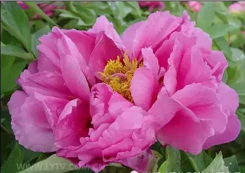 8.8发财日的祝福,8月18日发财日早安祝福图片