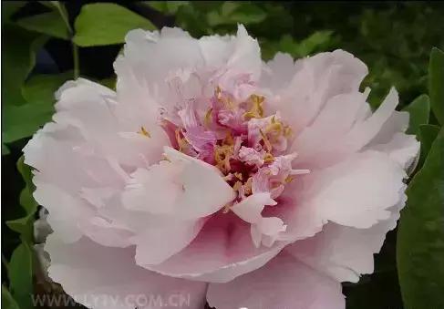 8.8发财日的祝福,8月18日发财日早安祝福图片