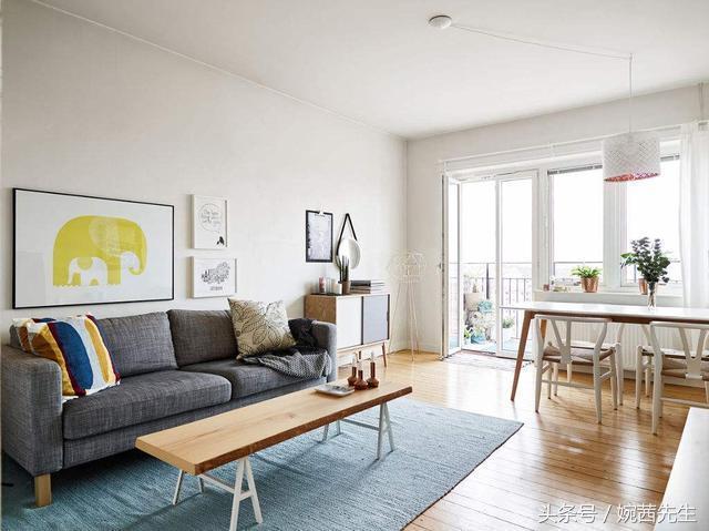 属虎吉祥植物七叶莲摆放什么方位,家里植物摆放方位禁忌